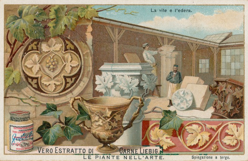 Pflanzen in der Kunst, Liebig-Karte, frühes 20. Jahrhundert von European School