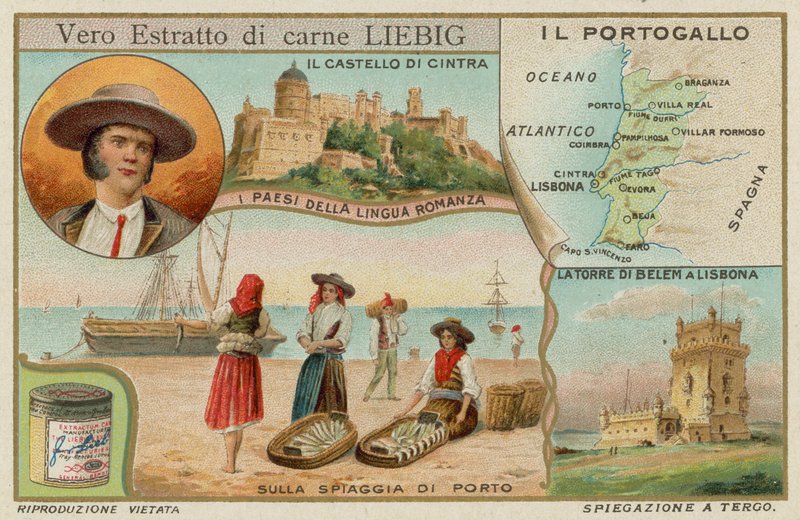 Portugal von European School