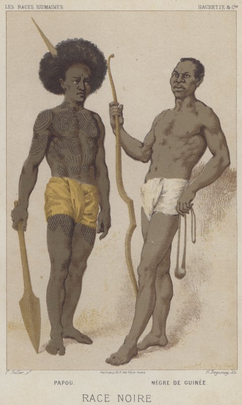 Schwarze Rasse, Papou, Schwarzer aus Guinea von European School