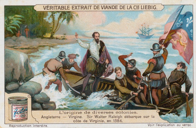 Virginia von European School