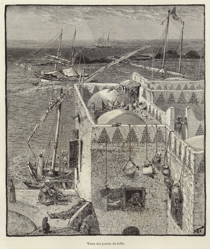 Blick auf den Hafen von Jaffa von European School