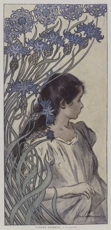 Animierte Blumen: die Kornblume (Farblithografie) von Firmin (after) Bouisset
