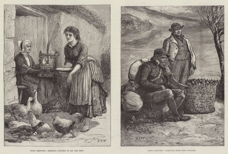 Irische Skizzen von Francis S. Walker