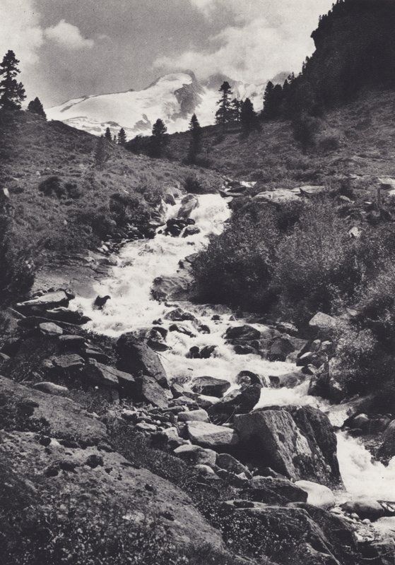 Ostalpen: Die Reichenkette vom oberen Ende des Wildgerlostals von Francis Sydney Smythe