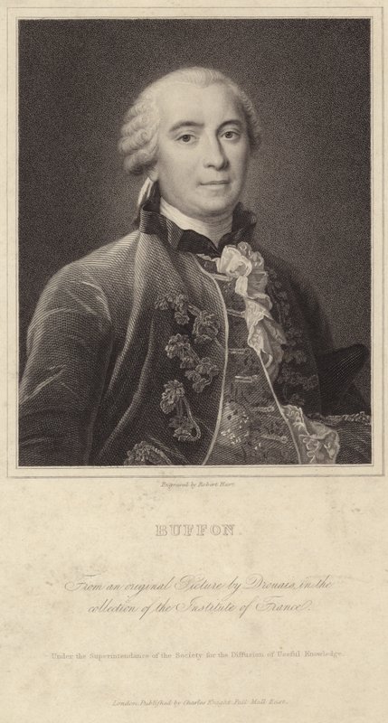 Porträt von Georges-Louis Leclerc, Comte de Buffon von Francois Hubert Drouais