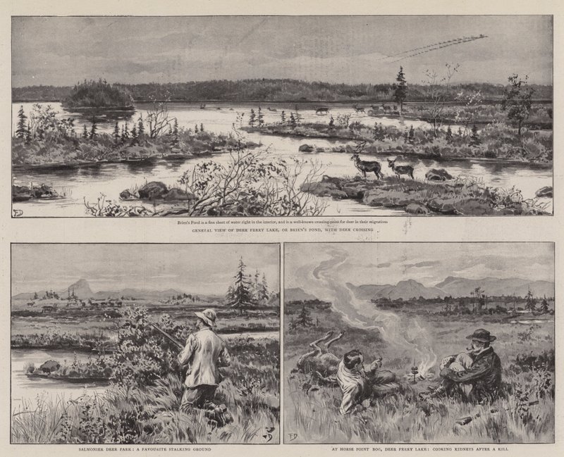 Landwirtschaft und Sport in Neufundland von Frank Dadd
