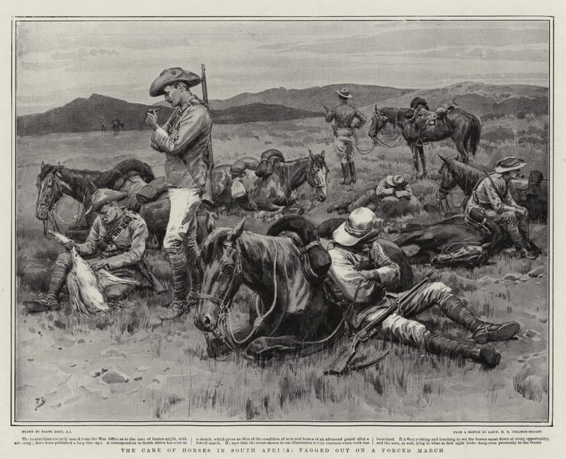 Die Pflege der Pferde in Südafrika, erschöpft nach einem Gewaltmarsch von Frank Dadd