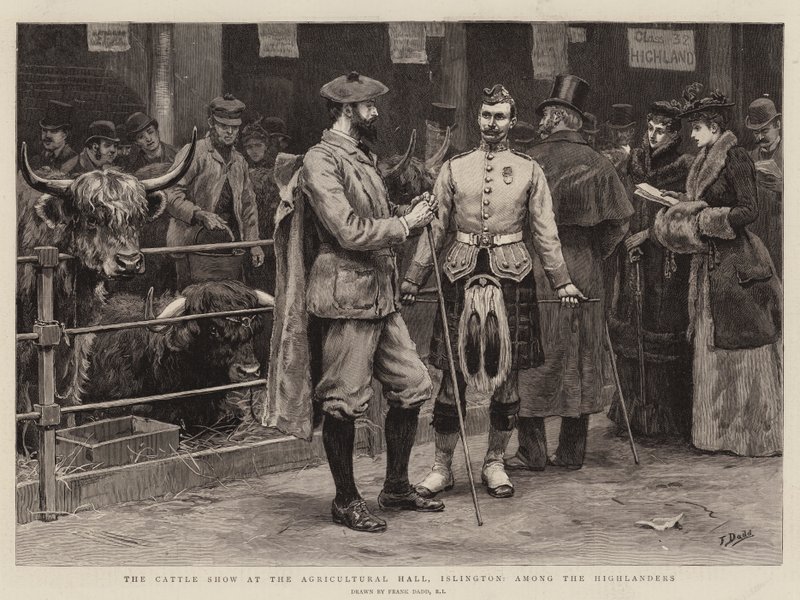 Die Viehschau in der Agricultural Hall, Islington, unter den Highlandern von Frank Dadd
