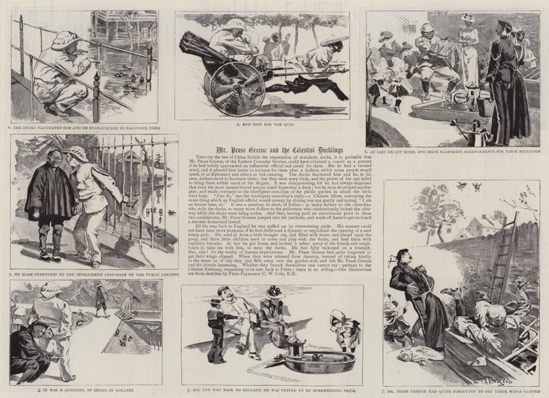 Mr. Pease Greene und die himmlischen Entenküken von Frederick Henry Townsend