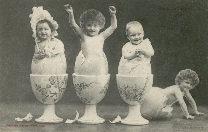 Babys schlüpfen aus Eiern in Eierbechern von French Photographer