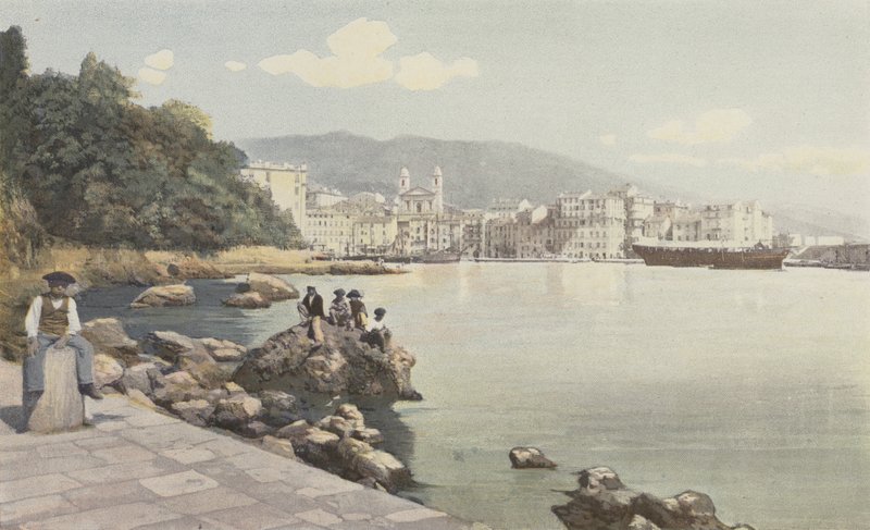 Bastia, Ansicht des alten Hafens und der Stadt von French Photographer