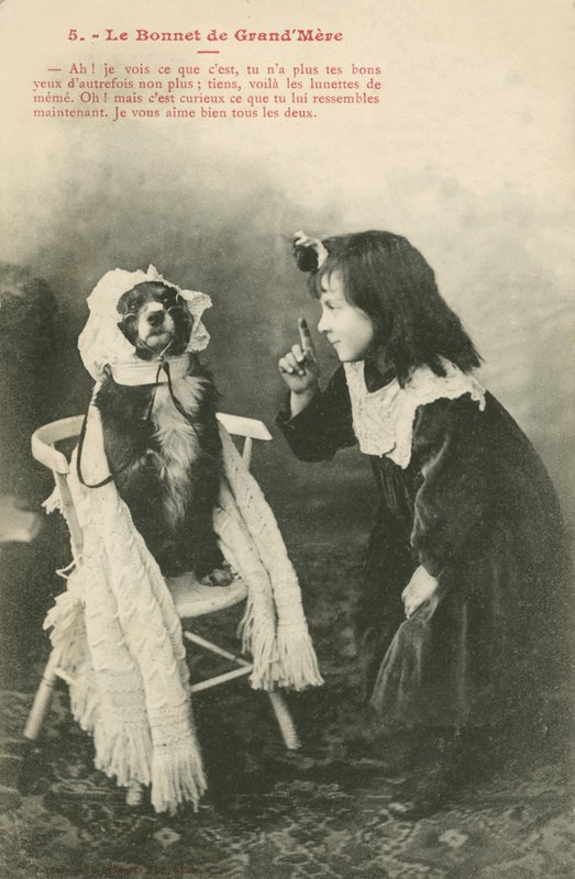 Kind zieht ihrem Hund eine Haube an von French Photographer