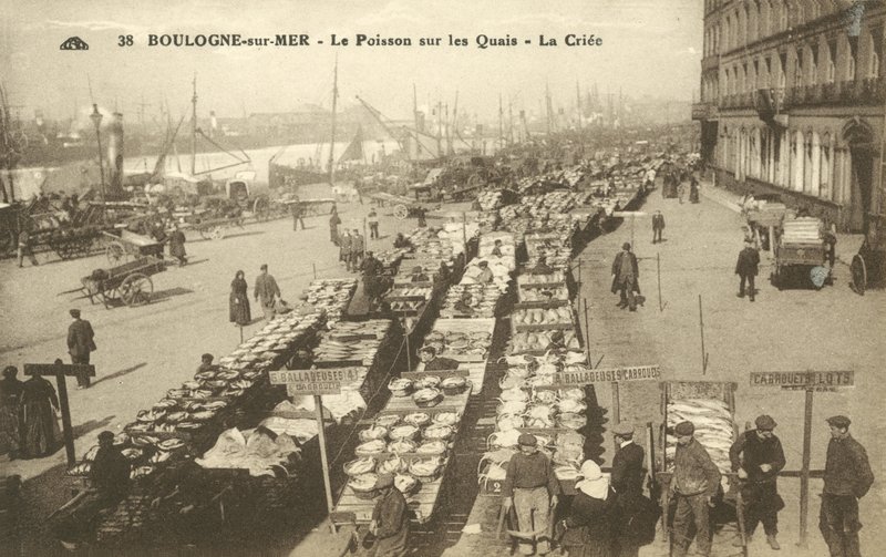 Fische am Kai, Boulogne-sur-Mer von French Photographer