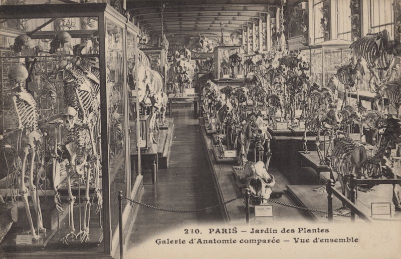 Paris, Jardin des Plantes von French Photographer