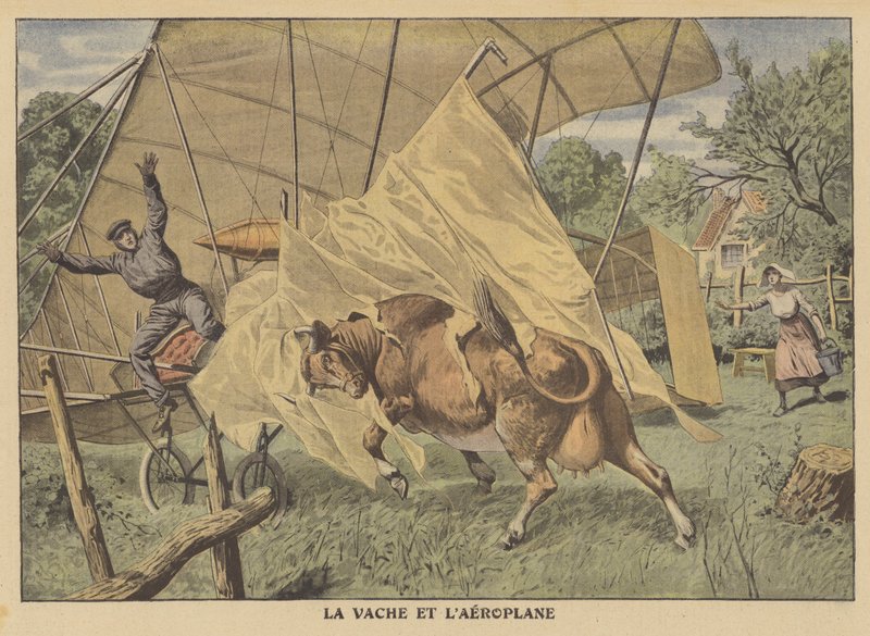 Eine Kuh greift ein Flugzeug im amerikanischen Mittleren Westen an von French School