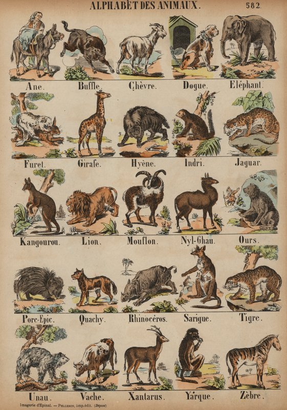 Das ABC der Tiere von French School