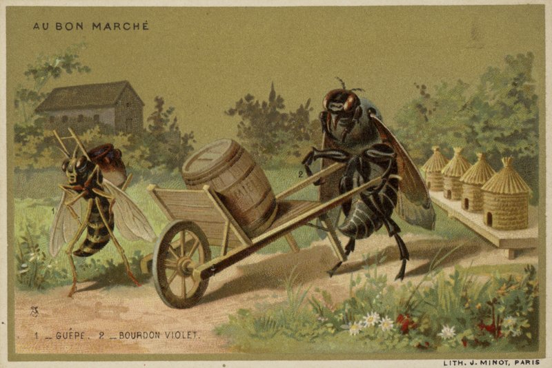 Au Bon Marché-Karten mit anthropomorphen Insekten von French School