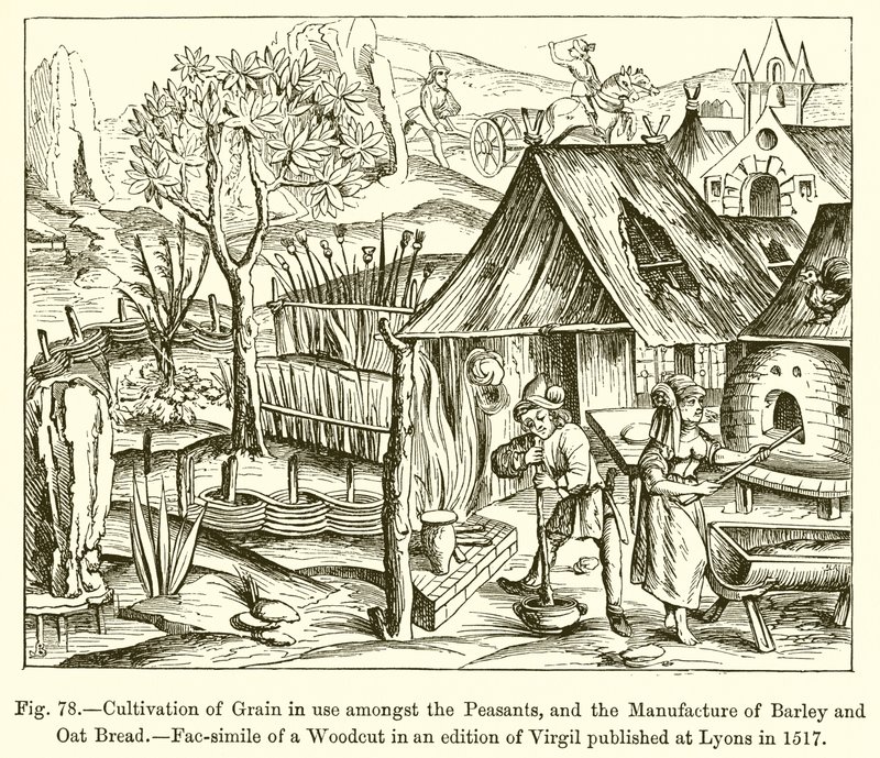 Getreideanbau bei den Bauern und Herstellung von Gersten- und Haferbrot von French School