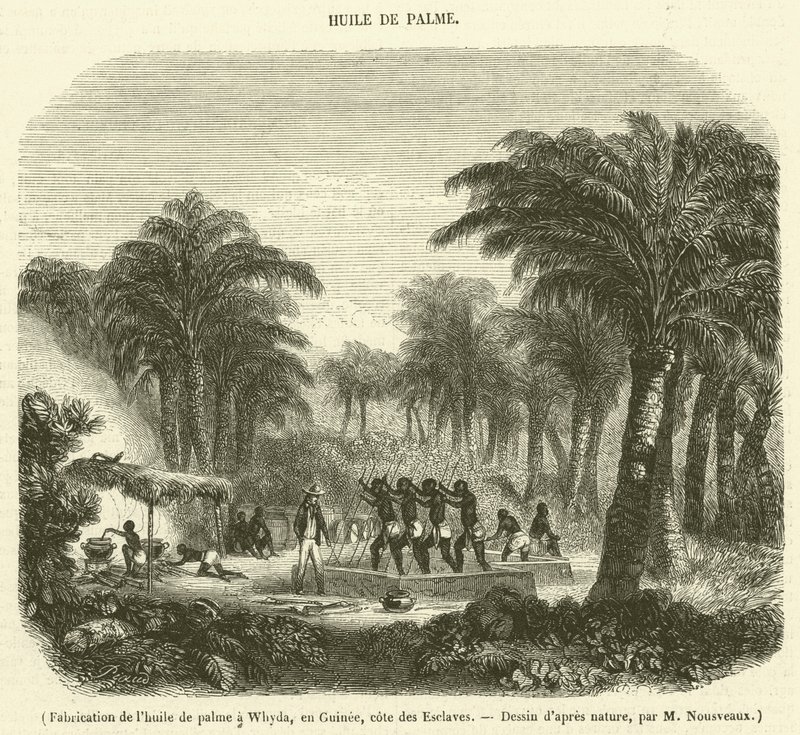 Herstellung von Palmöl in Whyda, Guinea, Sklavenküste von French School