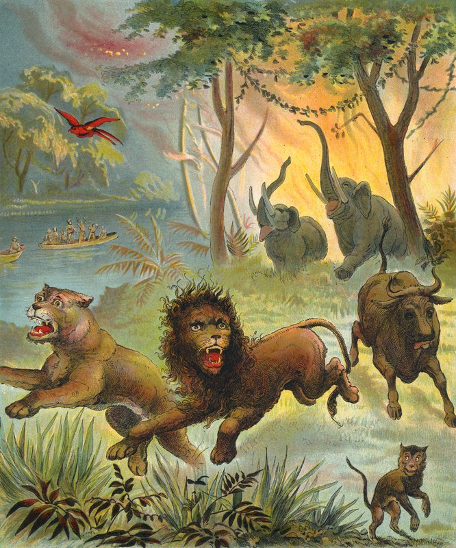 Waldbrand in Afrika von French School
