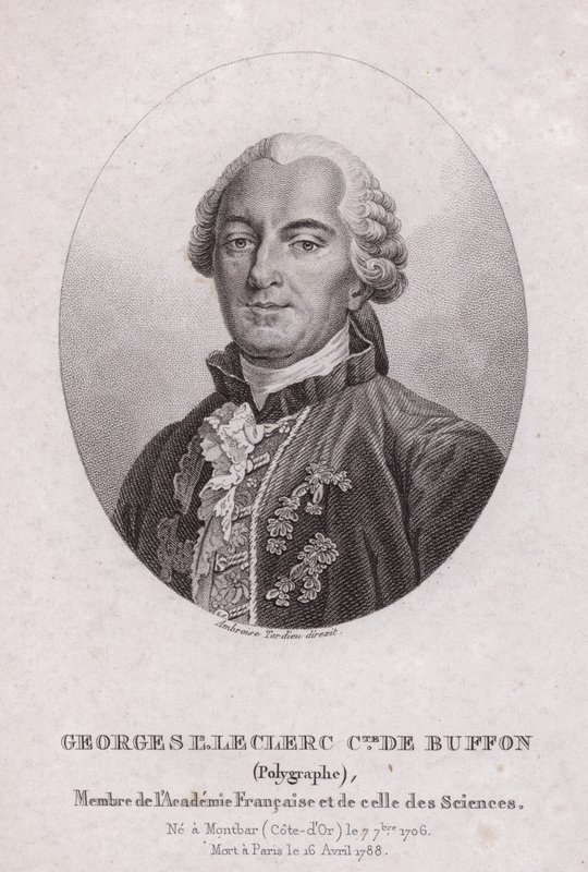 Georges-Louis Leclerc, Comte de Buffon, französischer Wissenschaftler und Schriftsteller (Stich) von French School