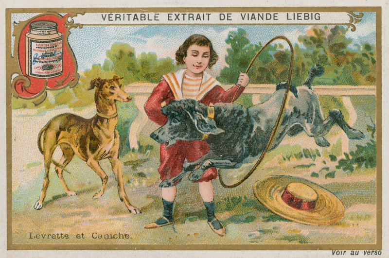 Windhund und Pudel von French School