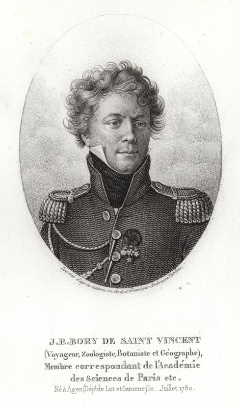 Jean-Baptiste Bory de Saint-Vincent von French School
