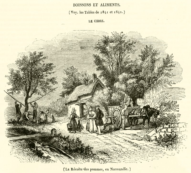 Apfelernte in der Normandie von French School