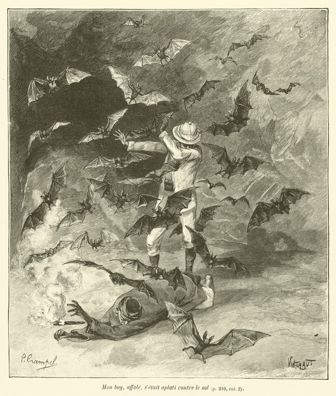 Die Höhlen von Tham-Tai (Gravur) von French School