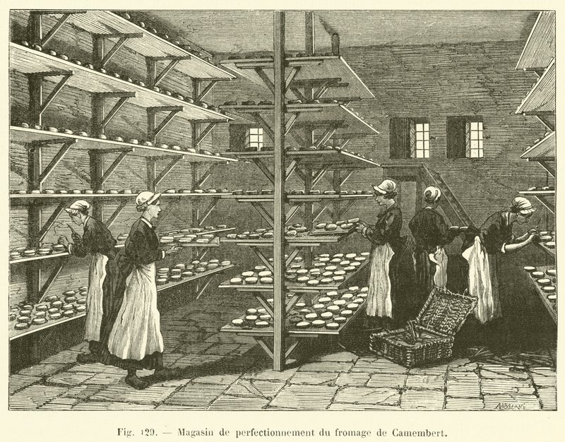 Laden zur Veredelung von Camembert-Käse von French School