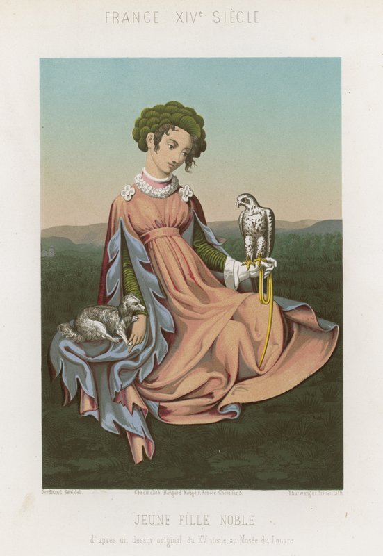Edles Mädchen sitzt mit einem Falken auf dem Arm von French School