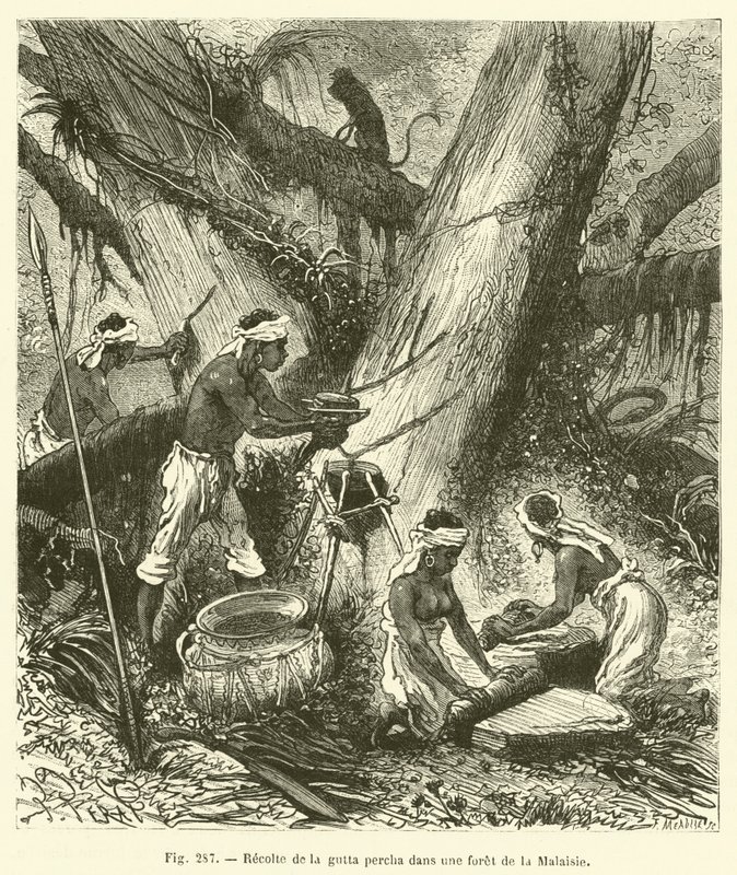 Ernte von Guttapercha in einem Wald in Malaysia von French School