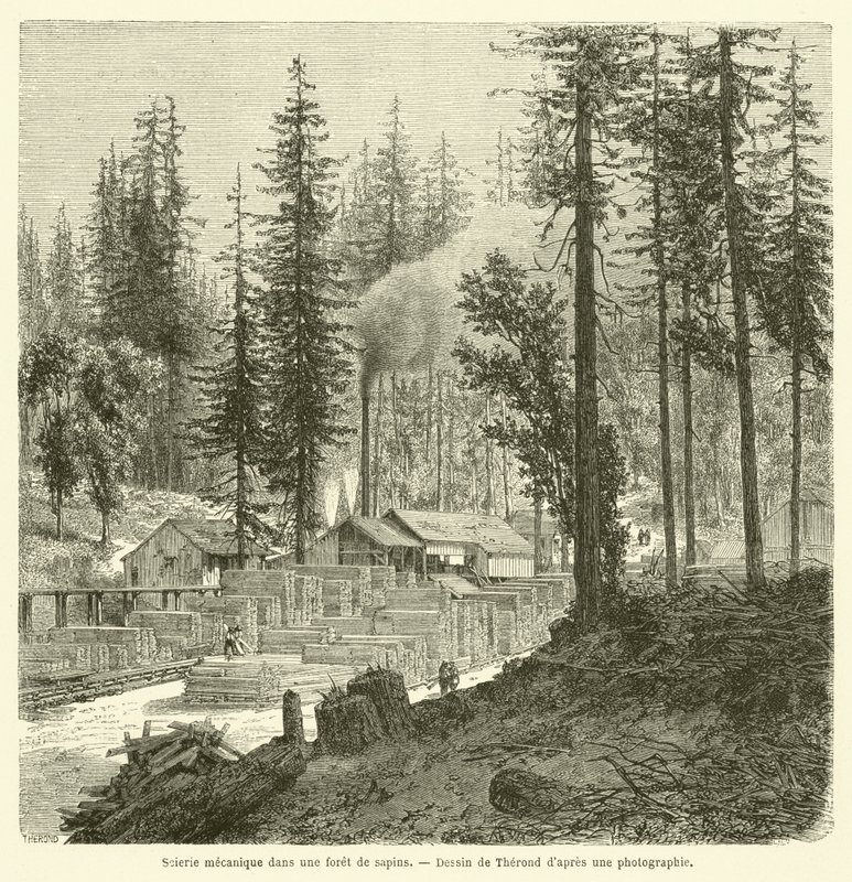Mechanische Sägemühle in einem Tannenwald (Gravur) von French School
