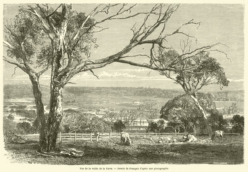 Blick auf das Yarra-Tal (Gravur) von French School