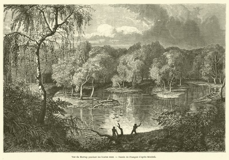 Ansicht des Murray während der Hochwasser von French School