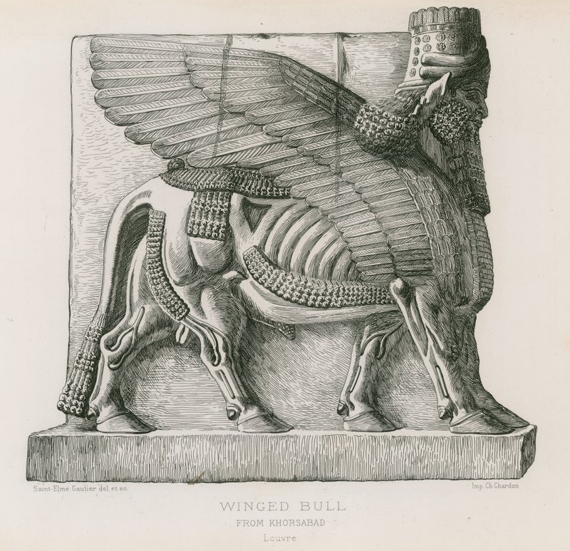 Geflügelter Stier, aus Khorsabad, Louvre von French School