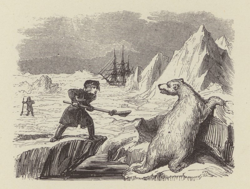 Der junge Nelson tötet einen Eisbären (Gravur) von George (after) Cruikshank