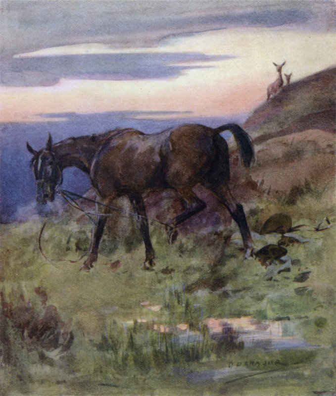 Illustration für 