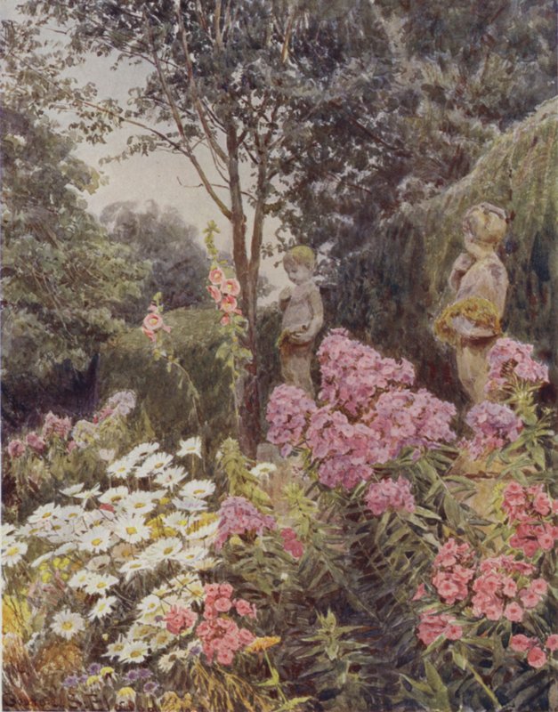 Phlox und Gänseblümchen von George Samuel Elgood