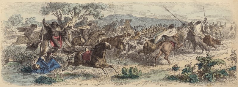 Indianer überraschen Gauchos auf den Pampas und stehlen ihre Rinderherde von German School