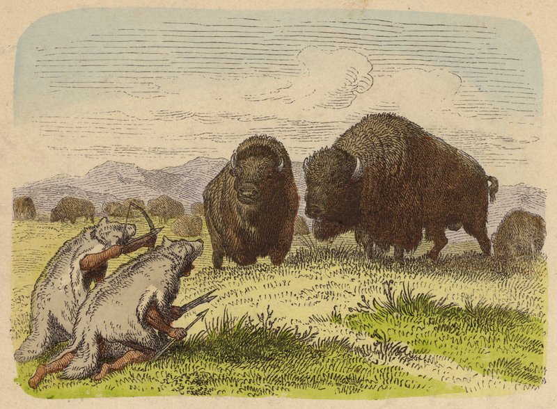 Indianer in Wolfsfellen jagen Büffel (kolorierte Gravur) von German School