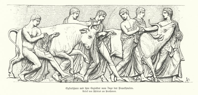 Opfertiere in der antiken griechischen Prozession der Panathenaia von German School