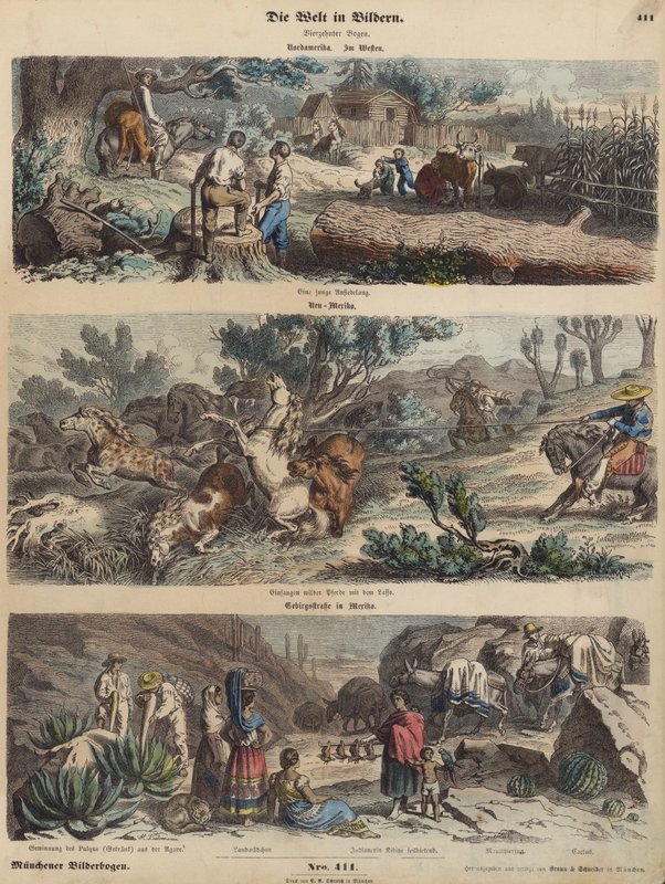 Der amerikanische Westen: eine neue Siedlung; wilde Pferde in New Mexico einfangen; eine Bergstraße in Mexiko (kolorierte Gravur) von German School