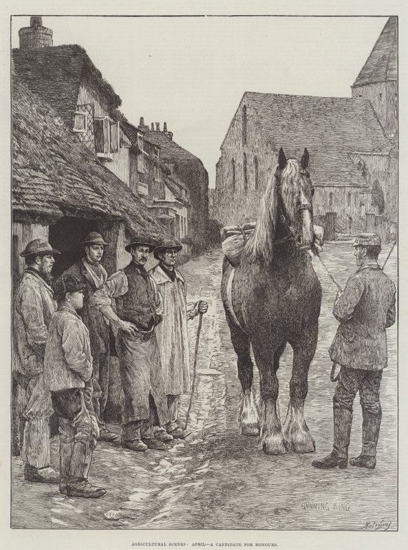 Landwirtschaftliche Szenen, April, ein Kandidat für Ehrungen von Gunning King