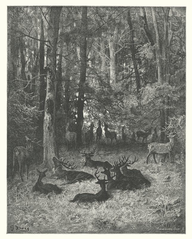 Die Fabeln von La Fontaine: Der kranke Hirsch (Gravur) von Gustave Dore