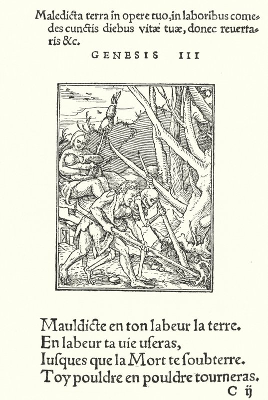 Der Fluch auf Erde und Mensch (Gravur) von Hans (after) Holbein the Younger