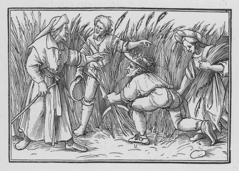 Ruth sammelt Ähren auf den Feldern von Boas, Ruth II, 5 von Hans after Holbein the Younger