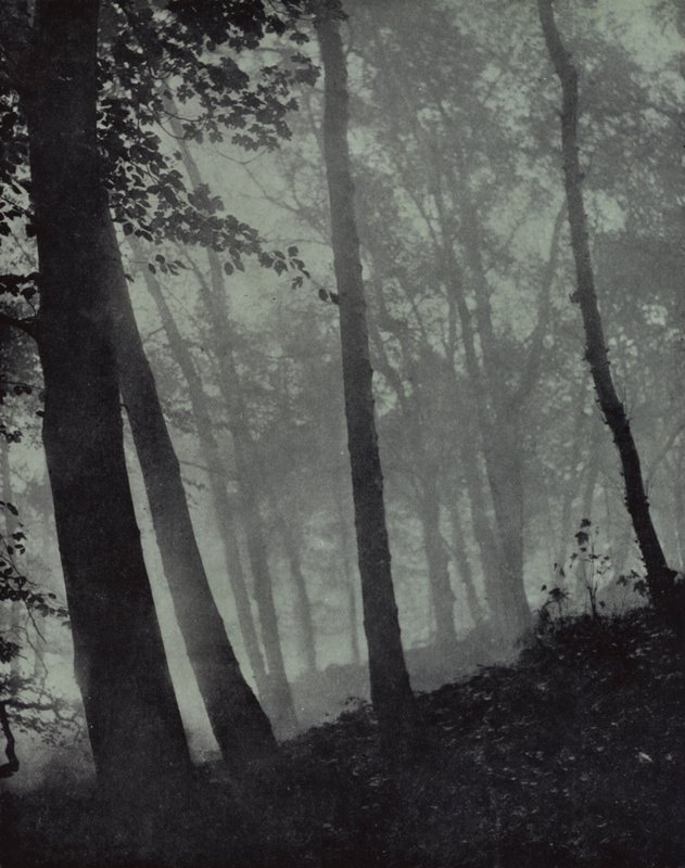 ... gewölbte Wege von Dämmerungshainen und braunen Schatten ... von Kiefer oder monumentaler Eiche, Milton von Harold Burdekin