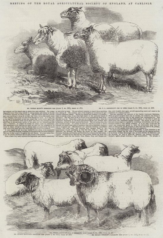 Treffen der Royal Agricultural Society of England in Carlisle von Harrison William Weir