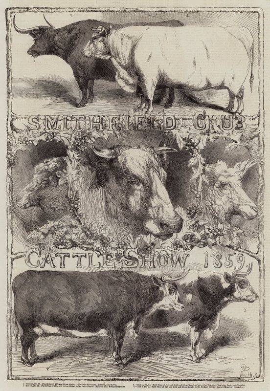 Smithfield Club Viehschau, 1859 von Harrison William Weir